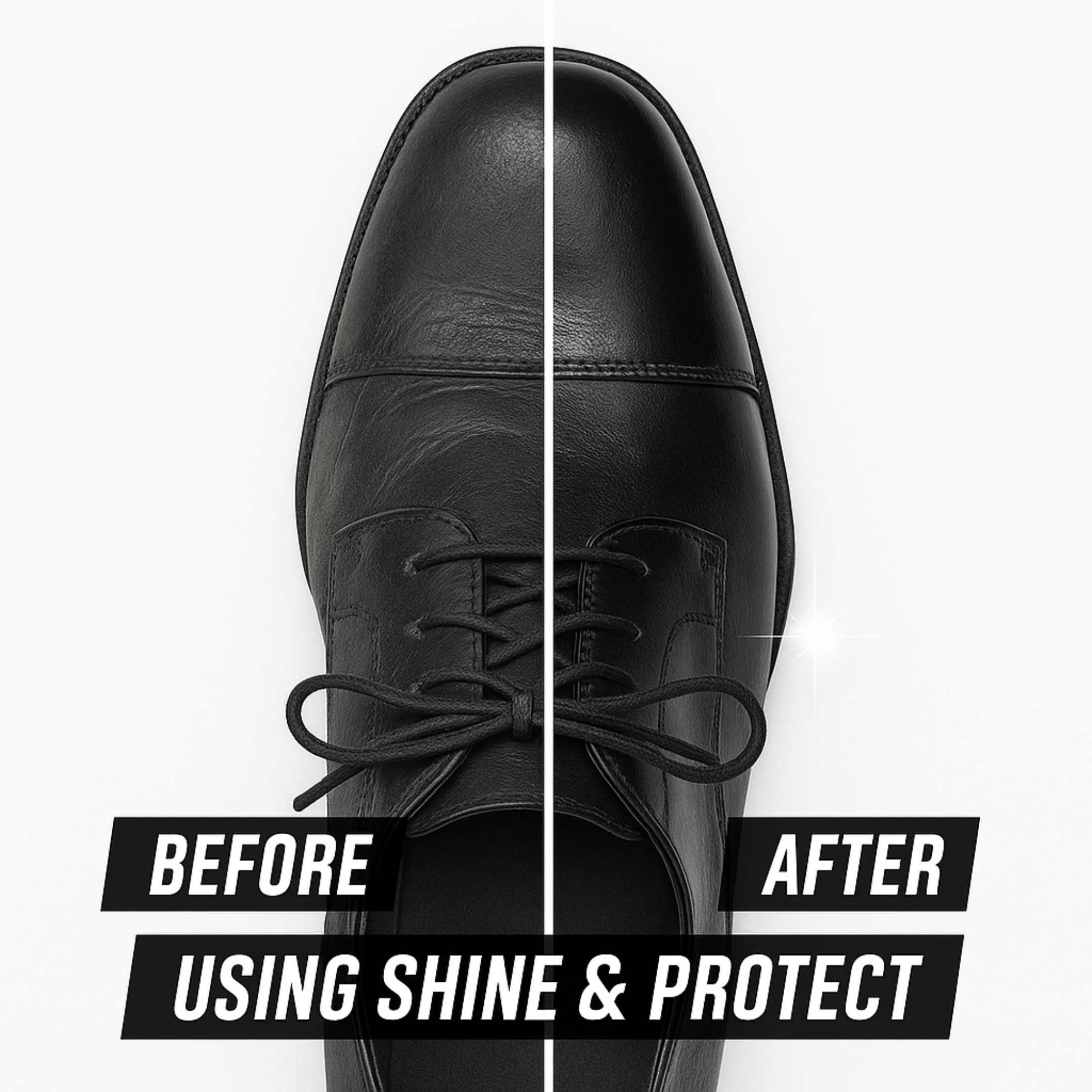 Shine & Protect Shoe Polish