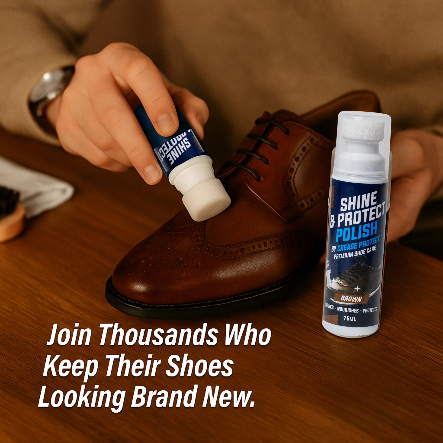 Shine & Protect Shoe Polish