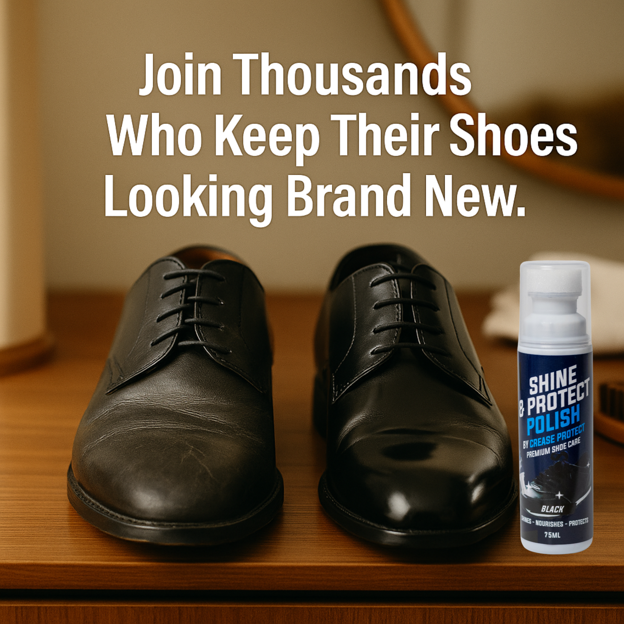 Shine & Protect Shoe Polish