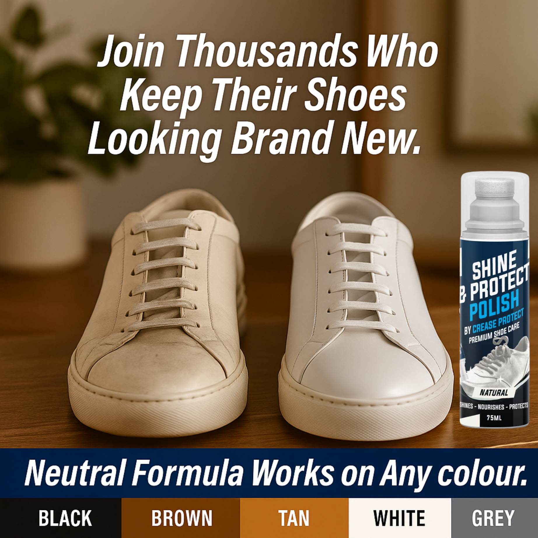 Shine & Protect Shoe Polish